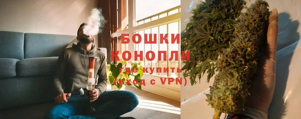 PSILOCYBIN Гусев