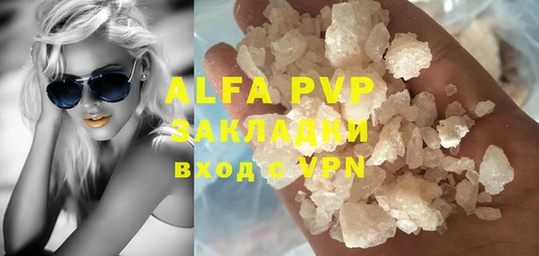 PSILOCYBIN Гусев