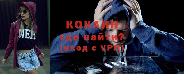 мяу мяу мука Дмитриев